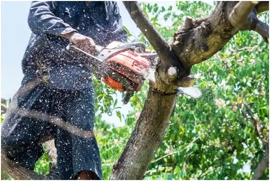 tree services French Island